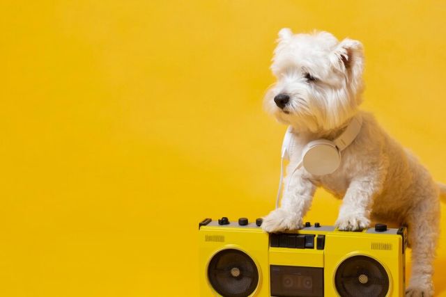 Musical Singing Dog